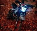 Форте Інша, об'ємом двигуна 0.25 л та пробігом 0 тис. км за 848 $, фото 1 на Automoto.ua