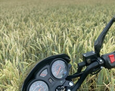 Форте Інша, об'ємом двигуна 0.15 л та пробігом 0 тис. км за 848 $, фото 3 на Automoto.ua