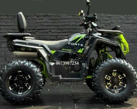 Форте Другая, объемом двигателя 0.25 л и пробегом 0 тыс. км за 2548 $, фото 3 на Automoto.ua