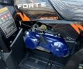 Форте Інша, об'ємом двигуна 0.2 л та пробігом 0 тис. км за 2250 $, фото 12 на Automoto.ua