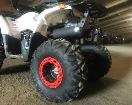 Форте Другая, объемом двигателя 0.13 л и пробегом 0 тыс. км за 1150 $, фото 6 на Automoto.ua