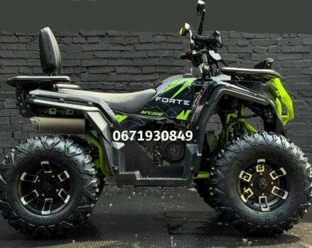 Форте Інша, об'ємом двигуна 0.25 л та пробігом 0 тис. км за 2549 $, фото 3 на Automoto.ua