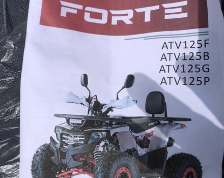 Форте Другая, объемом двигателя 0.13 л и пробегом 0 тыс. км за 999 $, фото 9 на Automoto.ua