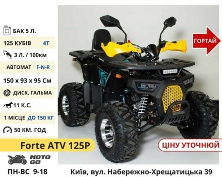 Форте Інша, об'ємом двигуна 0.13 л та пробігом 0 тис. км за 826 $, фото 9 на Automoto.ua