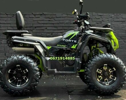 Форте Другая, объемом двигателя 0.25 л и пробегом 0 тыс. км за 2548 $, фото 3 на Automoto.ua