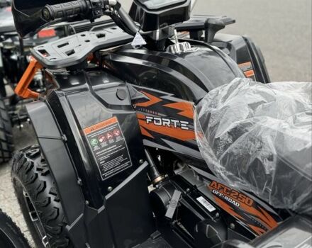 Форте Другая, объемом двигателя 0.25 л и пробегом 0 тыс. км за 2495 $, фото 7 на Automoto.ua