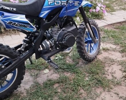 Форте Другая, объемом двигателя 49 л и пробегом 0 тыс. км за 299 $, фото 2 на Automoto.ua