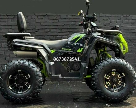 Форте Другая, объемом двигателя 0.25 л и пробегом 0 тыс. км за 2549 $, фото 1 на Automoto.ua