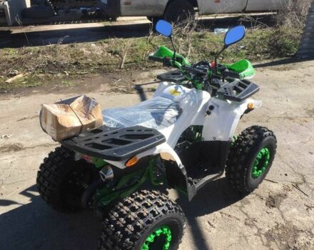 Форте Другая, объемом двигателя 0.13 л и пробегом 0 тыс. км за 1215 $, фото 3 на Automoto.ua