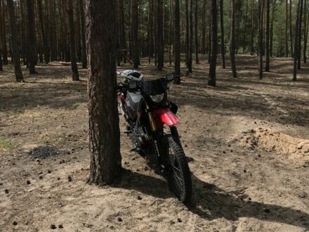 Форте Інша 2020 у Новых Санжарах на Automoto.ua Форте Інша, об'ємом двигуна 0.25 л та пробігом 0 тис. км за 1211 $, фото 1 на Automoto.ua