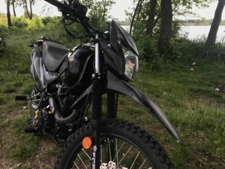 Форте Інша 2021 у Софіївська Борщагівка на Automoto.ua Форте Інша, об'ємом двигуна 0.25 л та пробігом 0 тис. км за 37000 $, фото 1 на Automoto.ua