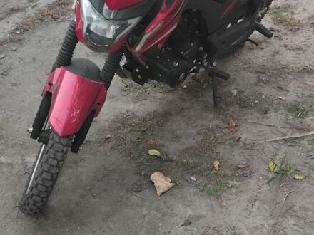 Форте Другая 2023 в Новомосковске на Automoto.ua Форте Другая, объемом двигателя 0.2 л и пробегом 0 тыс. км за 960 $, фото 1 на Automoto.ua