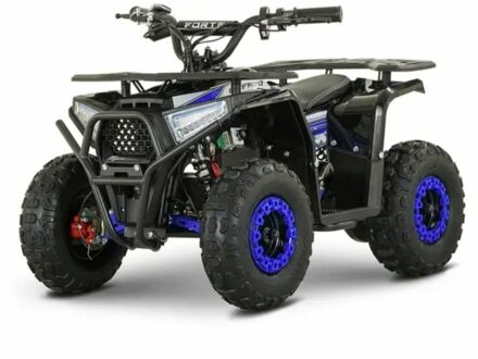 Форте Інша 2025 у Вишневом на Automoto.ua Форте Інша, об'ємом двигуна 0 л та пробігом 0 тис. км за 600 $, фото 1 на Automoto.ua