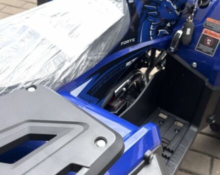 Форте Другая, объемом двигателя 4.25 л и пробегом 0 тыс. км за 1350 $, фото 3 на Automoto.ua