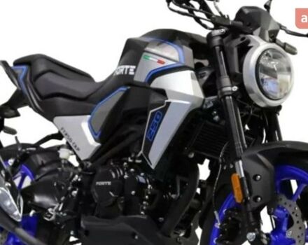 купить новое авто Форте FT 2024 года от официального дилера Віталій Форте фото
