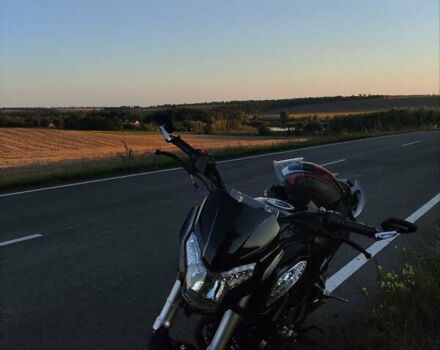 Форте FT 250 CKA 2019 в Рокитном на Automoto.ua Черный Форте FT 250 CKA, объемом двигателя 0.25 л и пробегом 20 тыс. км за 1350 $, фото 1 на Automoto.ua