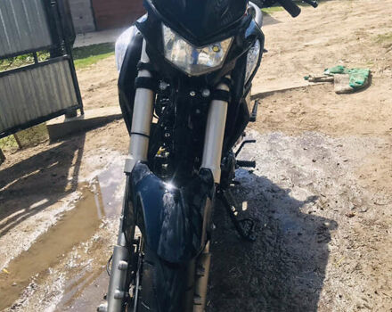 Чорний Форте FT 250 CKA, об'ємом двигуна 0.25 л та пробігом 6 тис. км за 481 $, фото 3 на Automoto.ua