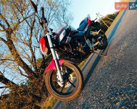 Червоний Форте FT 250 CKA, об'ємом двигуна 0.25 л та пробігом 4 тис. км за 1060 $, фото 2 на Automoto.ua