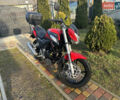 Красный Форте FT 250 CKA, объемом двигателя 0.25 л и пробегом 7 тыс. км за 1200 $, фото 1 на Automoto.ua