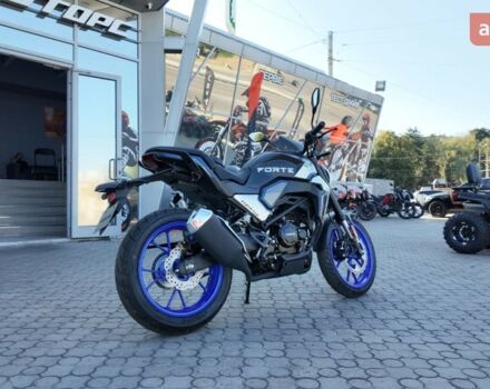 купить новое авто Форте FT 250 CKP 2025 года от официального дилера Женя Форте фото