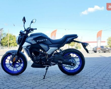 купить новое авто Форте FT 250 CKP 2025 года от официального дилера Женя Форте фото