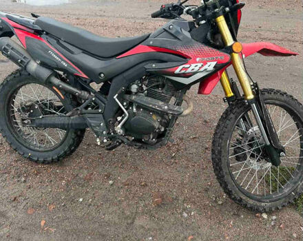 Форте FT 250GY-CBA, объемом двигателя 0 л и пробегом 12 тыс. км за 909 $, фото 3 на Automoto.ua