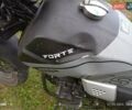 Серый Форте FT 250GY-CBA, объемом двигателя 0.25 л и пробегом 230 тыс. км за 1300 $, фото 4 на Automoto.ua