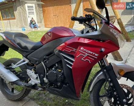 Форте FTR 300, об'ємом двигуна 0.3 л та пробігом 1 тис. км за 1416 $, фото 5 на Automoto.ua