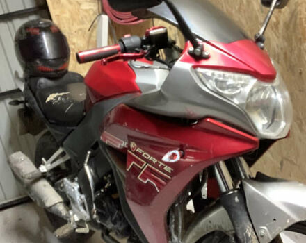 Форте FTR 300, объемом двигателя 0.3 л и пробегом 13 тыс. км за 1100 $, фото 7 на Automoto.ua