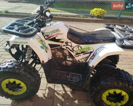 Белый Форте Hunter, объемом двигателя 0 л и пробегом 3 тыс. км за 570 $, фото 5 на Automoto.ua