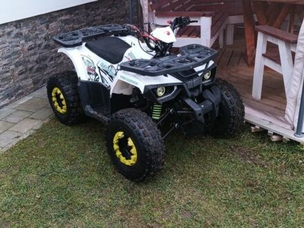 Форте Hunter, объемом двигателя 0.13 л и пробегом 0 тыс. км за 565 $, фото 1 на Automoto.ua