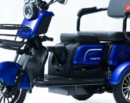 Форте P1000 2025 в Кременчуге на Automoto.ua Форте P1000, объемом двигателя 0 л и пробегом 0 тыс. км за 990 $, фото 2 на Automoto.ua