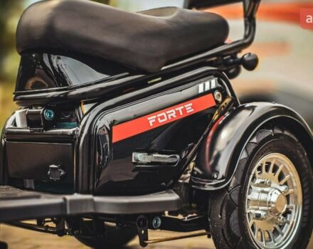 Форте S1-WS600, об'ємом двигуна 0 л та пробігом 0 тис. км за 920 $, фото 5 на Automoto.ua