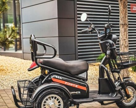 Форте S1-WS600, объемом двигателя 0 л и пробегом 0 тыс. км за 920 $, фото 4 на Automoto.ua