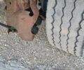Синій Фрухауф DJD SA3, об'ємом двигуна 0 л та пробігом 0 тис. км за 13900 $, фото 7 на Automoto.ua