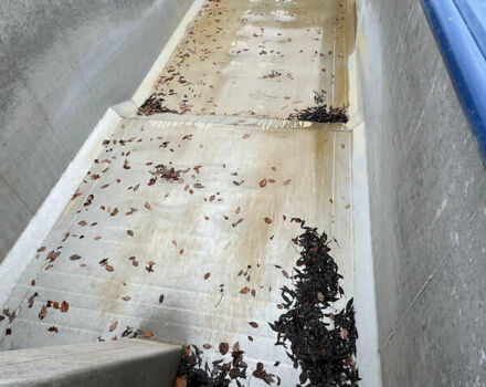 Фрухауф LTD/WAD, объемом двигателя 0 л и пробегом 555 тыс. км за 18950 $, фото 5 на Automoto.ua