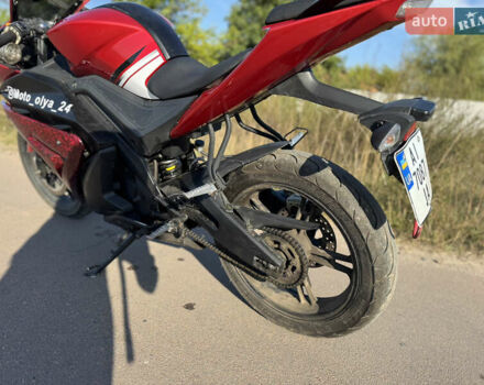 Красный Ж-макс 250 Raiser, объемом двигателя 0.25 л и пробегом 5 тыс. км за 1500 $, фото 5 на Automoto.ua