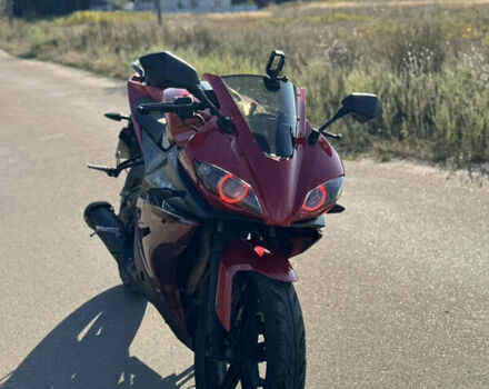 Красный Ж-макс 250 Raiser, объемом двигателя 0.25 л и пробегом 5 тыс. км за 1500 $, фото 1 на Automoto.ua