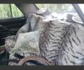 Білий ГАЗ 20, об'ємом двигуна 0 л та пробігом 1000 тис. км за 700 $, фото 3 на Automoto.ua