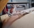 Белый ГАЗ 21, объемом двигателя 0 л и пробегом 257 тыс. км за 700 $, фото 1 на Automoto.ua