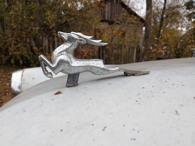 ГАЗ 21 1986 у Миколаєві на Automoto.ua Білий ГАЗ 21, об'ємом двигуна 0 л та пробігом 45 тис. км за 484 $, фото 1 на Automoto.ua