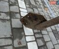 Белый ГАЗ 2217 Баргузин, объемом двигателя 2.3 л и пробегом 86 тыс. км за 1850 $, фото 9 на Automoto.ua