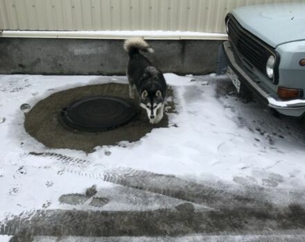 Серый ГАЗ 24-10 Волга, объемом двигателя 2.4 л и пробегом 260 тыс. км за 1200 $, фото 4 на Automoto.ua