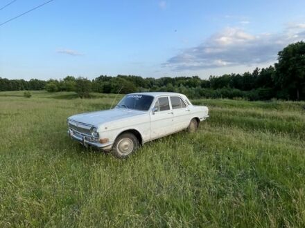 ГАЗ 24 1979 в Конотопе на Automoto.ua Белый ГАЗ 24, объемом двигателя 2.4 л и пробегом 2 тыс. км за 677 $, фото 1 на Automoto.ua