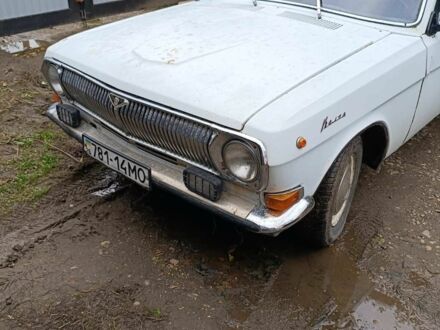 ГАЗ 24 1982 в Черновцах на Automoto.ua Белый ГАЗ 24, объемом двигателя 2 л и пробегом 500 тыс. км за 800 $, фото 1 на Automoto.ua