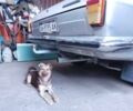 Серый ГАЗ 24, объемом двигателя 2.4 л и пробегом 150 тыс. км за 1000 $, фото 16 на Automoto.ua