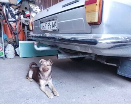 Сірий ГАЗ 24, об'ємом двигуна 2.4 л та пробігом 100 тис. км за 1000 $, фото 16 на Automoto.ua