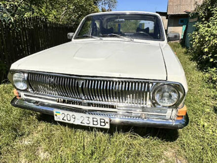 ГАЗ 24 Волга 1976 в Житомире на Automoto.ua Белый ГАЗ 24 Волга, объемом двигателя 2.4 л и пробегом 164 тыс. км за 1300 $, фото 1 на Automoto.ua