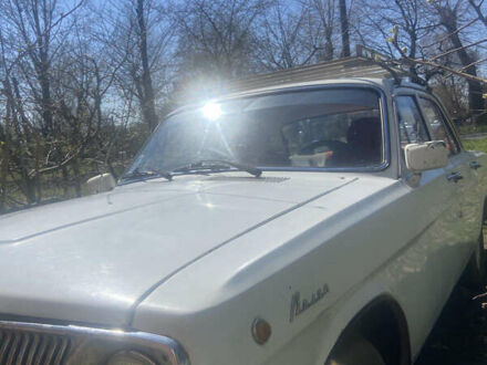 ГАЗ 24 Волга 1982 у Хмельницькому на Automoto.ua Білий ГАЗ 24 Волга, об'ємом двигуна 0 л та пробігом 300 тис. км за 600 $, фото 1 на Automoto.ua