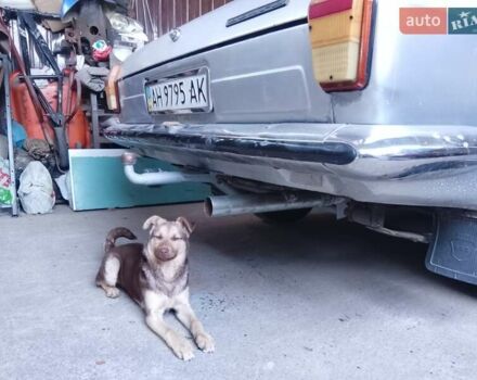 Серый ГАЗ 24 Волга, объемом двигателя 2.45 л и пробегом 100 тыс. км за 1000 $, фото 4 на Automoto.ua